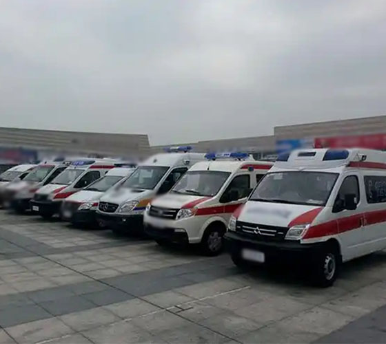 大安市服务车队展示