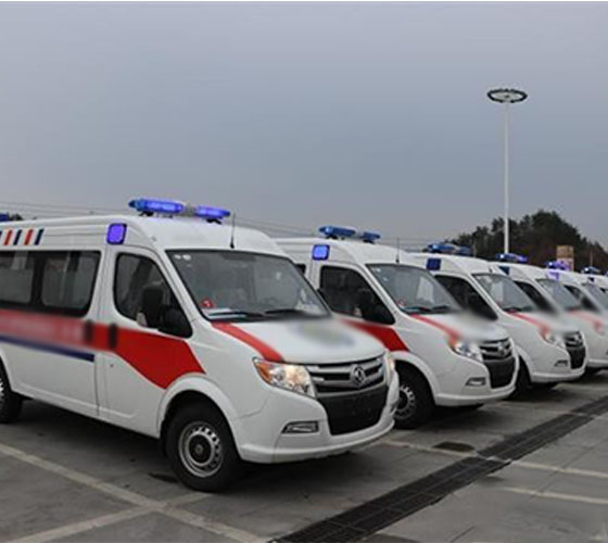 大安市服务车队展示